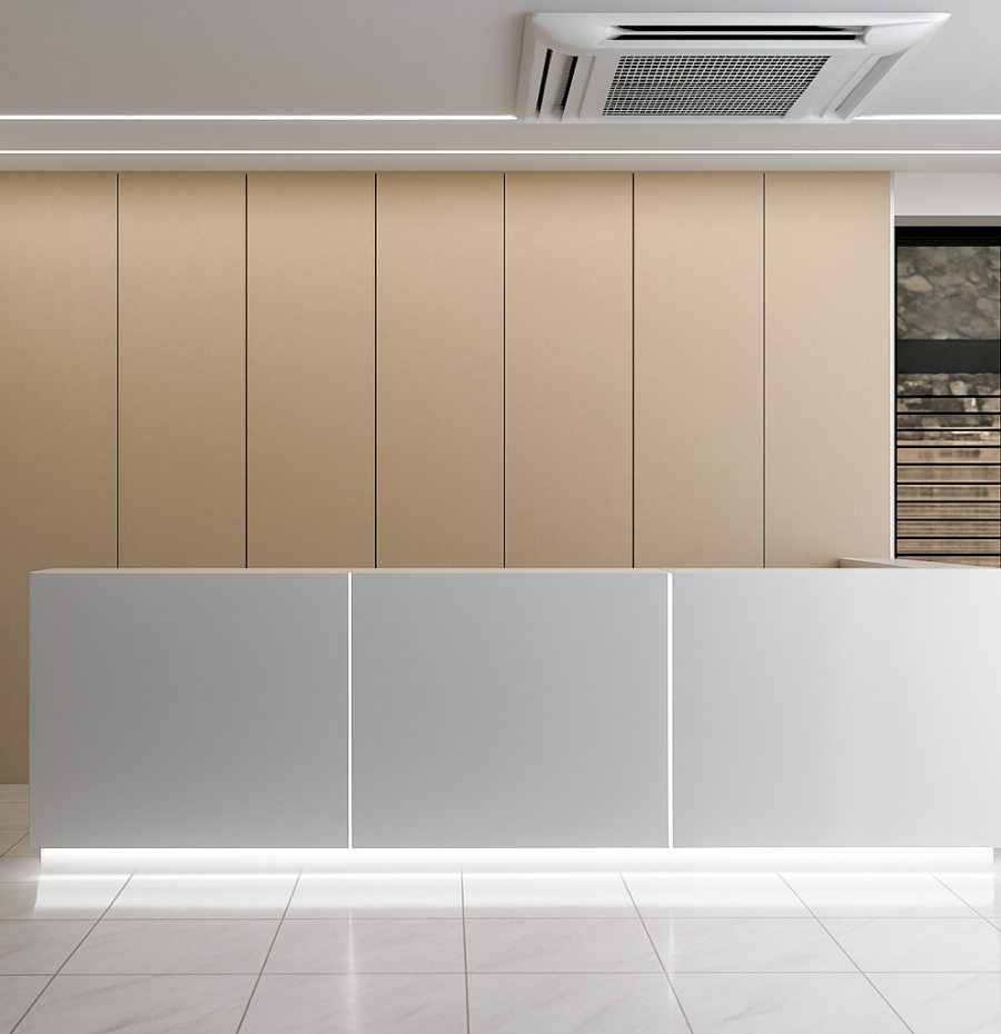 VISTA-1-RECEPCION-EUROCLINICA-ripsmabrcfw8uv3nylj3qxorv31dhuurwmcewbqclw